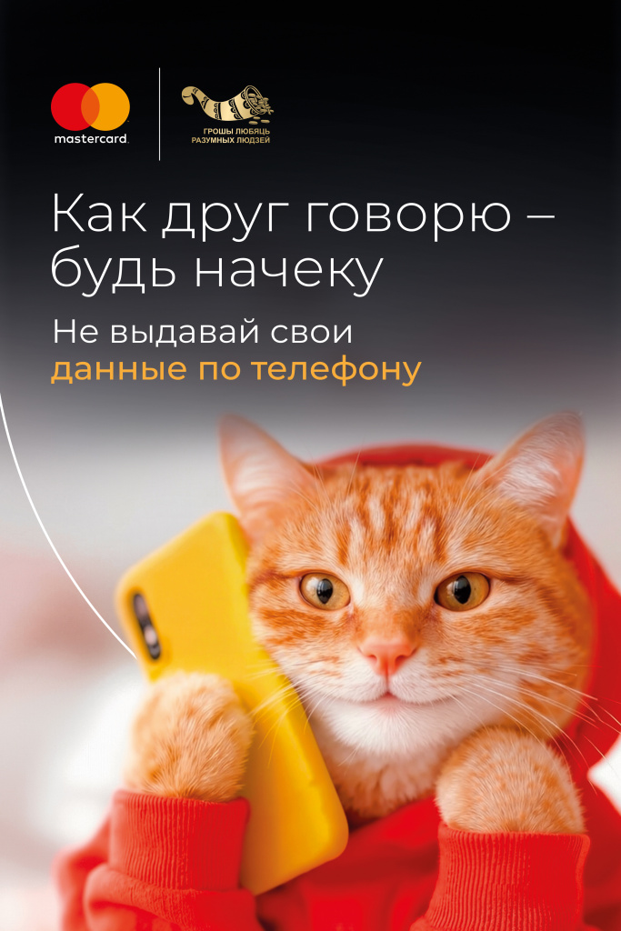 Билборд Кот вертикальный.jpg